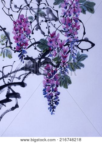 Tender flowering wisteria painted in Chinese style