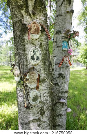Petersburg, Russia - July 2, 2017: Piskaryovskoye Memorial Cemetery. Place Of Mass Graves Of Victims