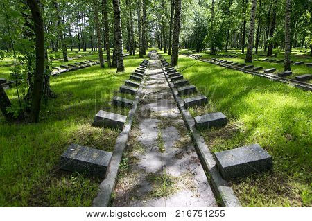 Petersburg, Russia - July 2, 2017: Piskaryovskoye Memorial Cemetery. Place Of Mass Graves Of Victims