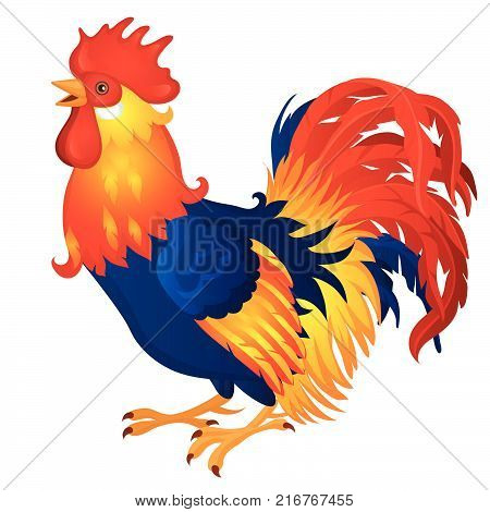 Animated brightly colored cock isolated on a white background. Beautiful rooster. Vector cartoon close-up illustration.