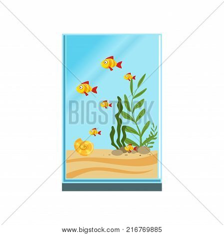 Exotic fishes in tall glass aquarium with sand, stones and different green algae. Tank with sea creatures. Underwater world concept. Colorful flat vector illustration isolated on white background.