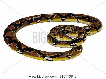 3D Rendering Reticulated Python On White