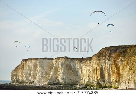 Paragliders
