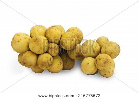 Langsat white background.Langsat white background.Langsat white background.