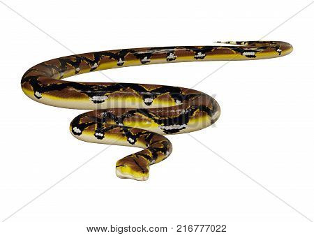 3D Rendering Reticulated Python On White