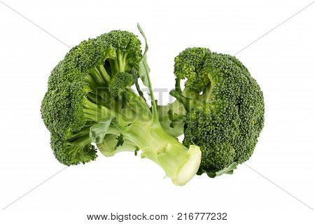 Healthy Green Organic Raw Broccoli Florets Ready For Cooking