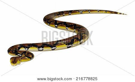 3D Rendering Reticulated Python On White
