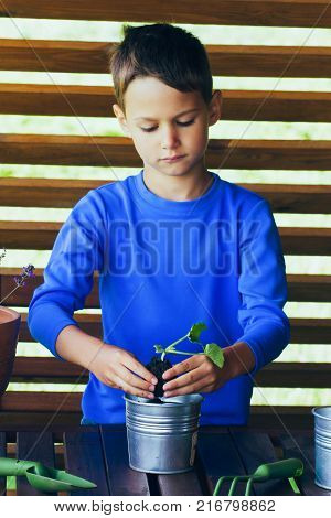 Little cute boy planting green plant in hands