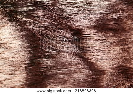 Dyed furry coat in brown or red color close up. Artificial fur for texture or background. Luxury and elegant fluffy clothes. Eco friendly fashion concept.