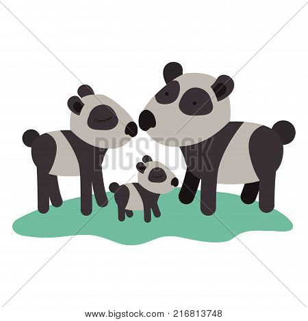 cartoon pandas couple with cub over grass in colorful silhouette on white background vector illustration