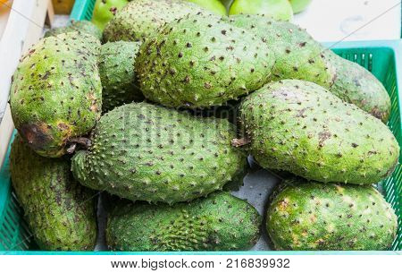Green guyabano fruit on street market in Manila. Philippines.