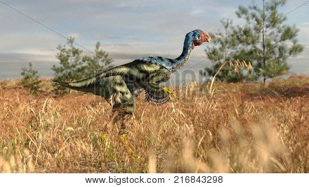 3d rendering of the caudipteryx