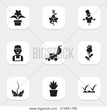 Set Of 9 Editable Agriculture Icons. Includes Symbols Such As Ranunculus, Bugaboo, Plant Pot And More