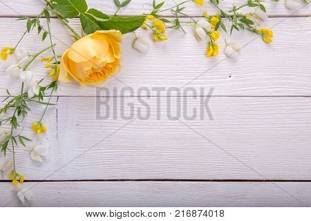 Beautiful yellow English rose and wild flowers on white wooden background. Rose Golden Celebration. Copy space. Mother's, Valentines, Women's Wedding Day concept.