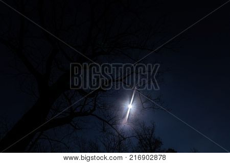 Looking up through large oak tree silhouette at full moon at night with angel like lens flare