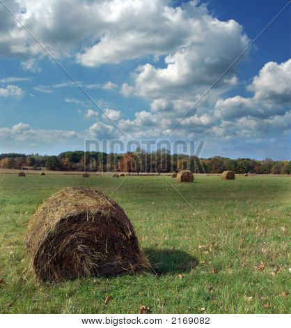 Hay Bales In A Field
