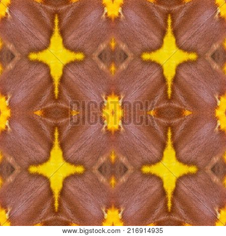 Background Created From Moth Wings