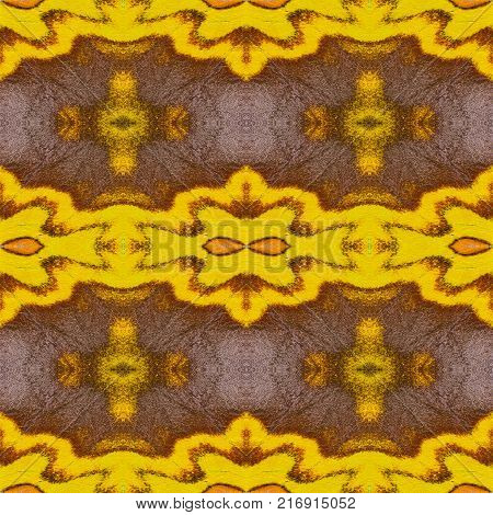 Background Created From Moth Wings