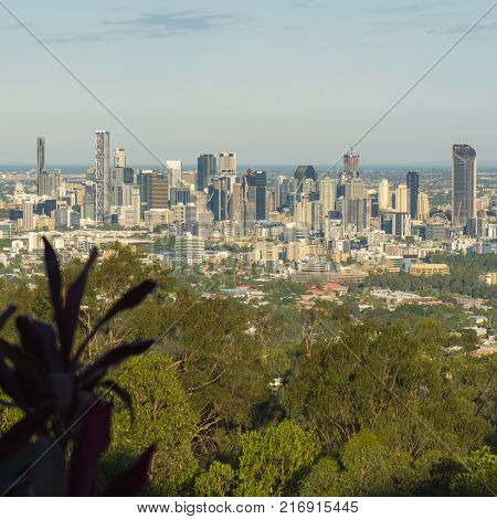 View Of Brisbane And Surrounding Suburbs From Mount Coot-tha During The Day