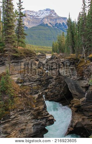 Powerful picturesque athabasca falls and river canada
