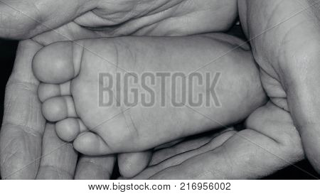 Little and sweet baby's foot on female hands closeup