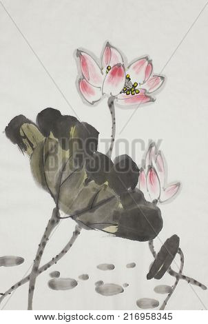 Pink lotus flower painted in Chinese style