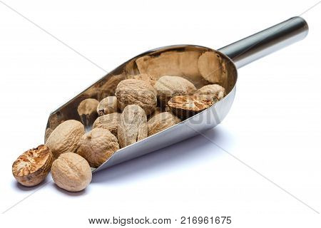 Scoop full of whole nutmegs isolated on white background. Clipping path