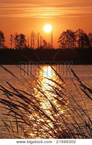 Sunrise