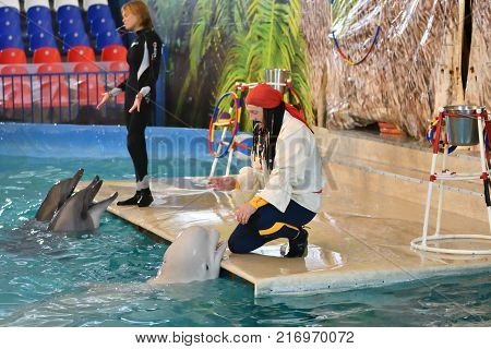 Orenburg, Russia - November 8, 2017 Year: Dolphins And Belukha (lat. Delphinapterus Leucas) In The D