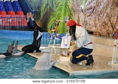 Orenburg, Russia - November 8, 2017 Year: Dolphins And Belukha (lat. Delphinapterus Leucas) In The D