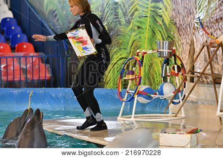 Orenburg, Russia - November 8, 2017 Year: Dolphins And Belukha (lat. Delphinapterus Leucas) In The D