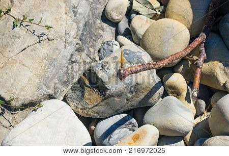 driftwood, washed up by the sea on a pebble beach on a warm summer day