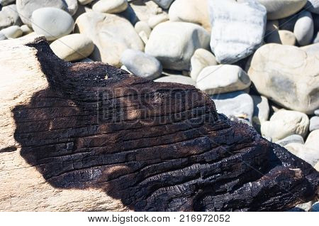 driftwood, washed up by the sea on a pebble beach on a warm summer day