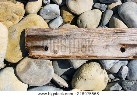 driftwood, washed up by the sea on a pebble beach on a warm summer day