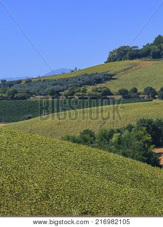 Mountain Landscape In Abruzzi At Summer
