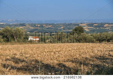 Mountain Landscape In Abruzzi At Summer