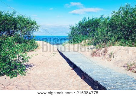 Footpath through the sand dune at the Baltic Sea in Palanga resort Lithuania