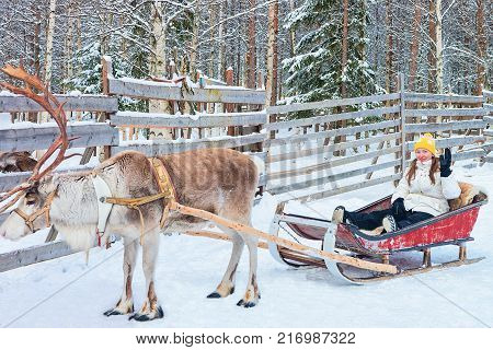 Girl riding Reindeer sleigh in winter Rovaniemi Lapland Finland