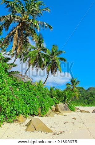 Paradise Palms Wilds