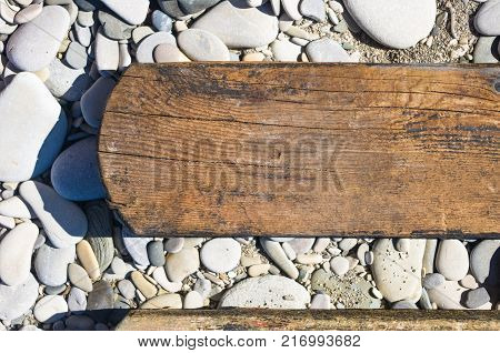 driftwood, washed up by the sea on a pebble beach on a warm summer day