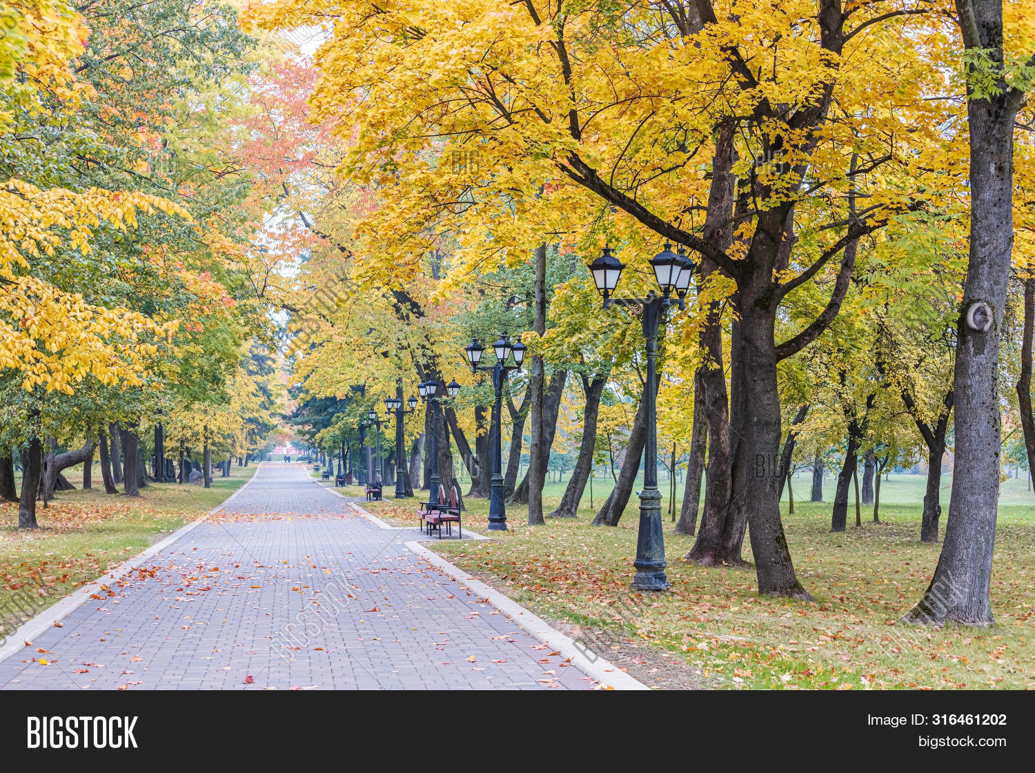 Foot Path Tree Park Footpath Trees Image & Photo (Free Trial) | Bigstock