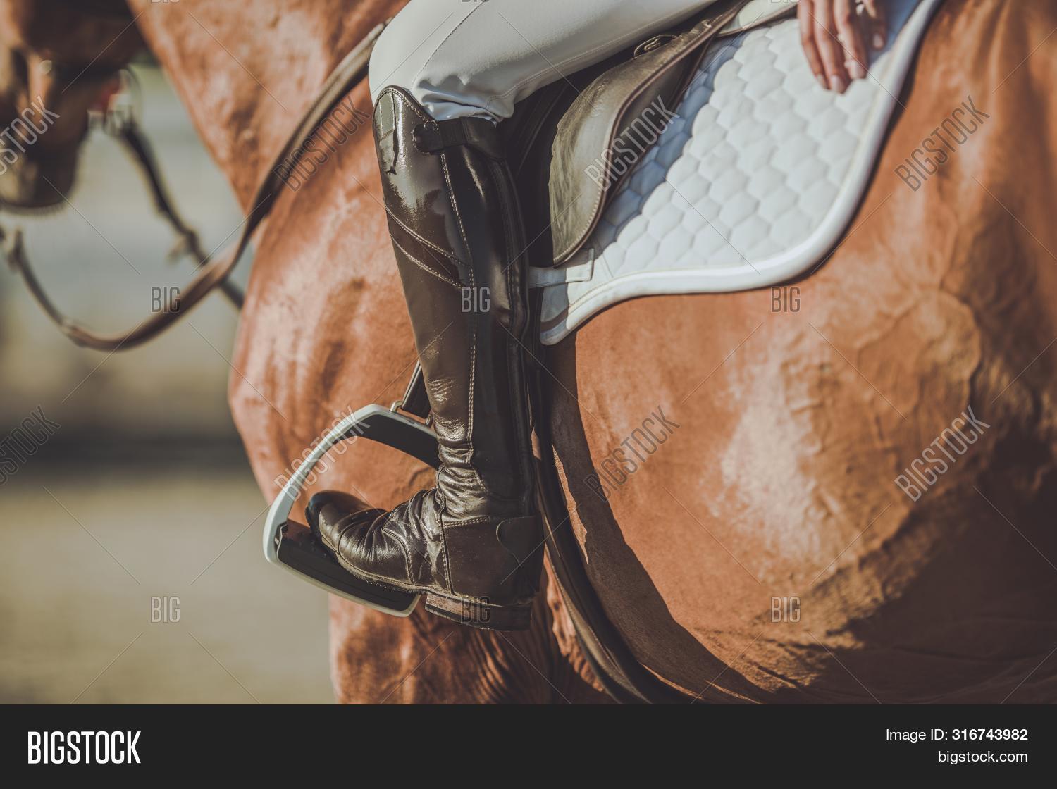 Horse Riding Stirrups Image & Photo (Free Trial) Bigstock