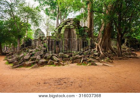 Ta Prohm Or Prasat Taprohm Is The Temple At Angkor In Siem Reap In Cambodia