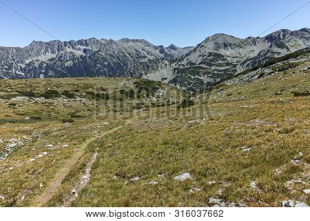 Amazing Summer Landscape Of Pirin Mountain With Polezhan Peak, Bulgaria