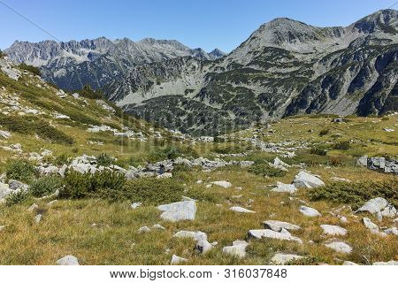 Amazing Summer Landscape Of Pirin Mountain With Polezhan Peak, Bulgaria