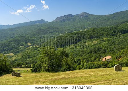 Springtime Landscape Along The Road From Bettola To Prato Barbieri, Piacenza, Emilia-romagna, Italy