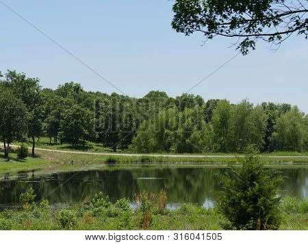 Lush Green Nature At A Lakeside At Chickasaw National Recreation Area In Davis, Oklahoma