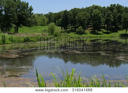 Roadside View Of A Lake At Chickasaw National Recreation Area In Davis, Oklahoma