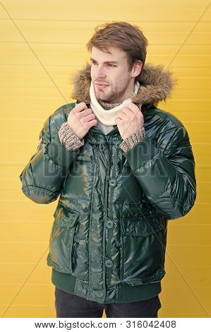 Man Bearded Hipster Wear Warm Jacket With Fur Yellow Background. Guy Wear Warm Jacket With Hood. Fee