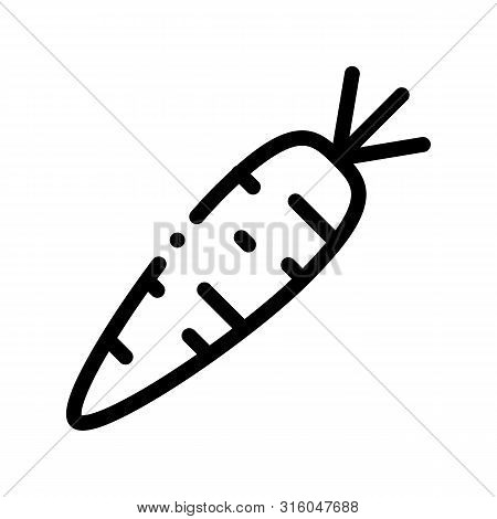 Healthy Food Vegetable Carrot Vector Sign Icon Thin Line. Veggy Bio Eco Agriculture Carrot Linear Pi